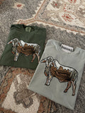Desert Brahman Cow - RTS