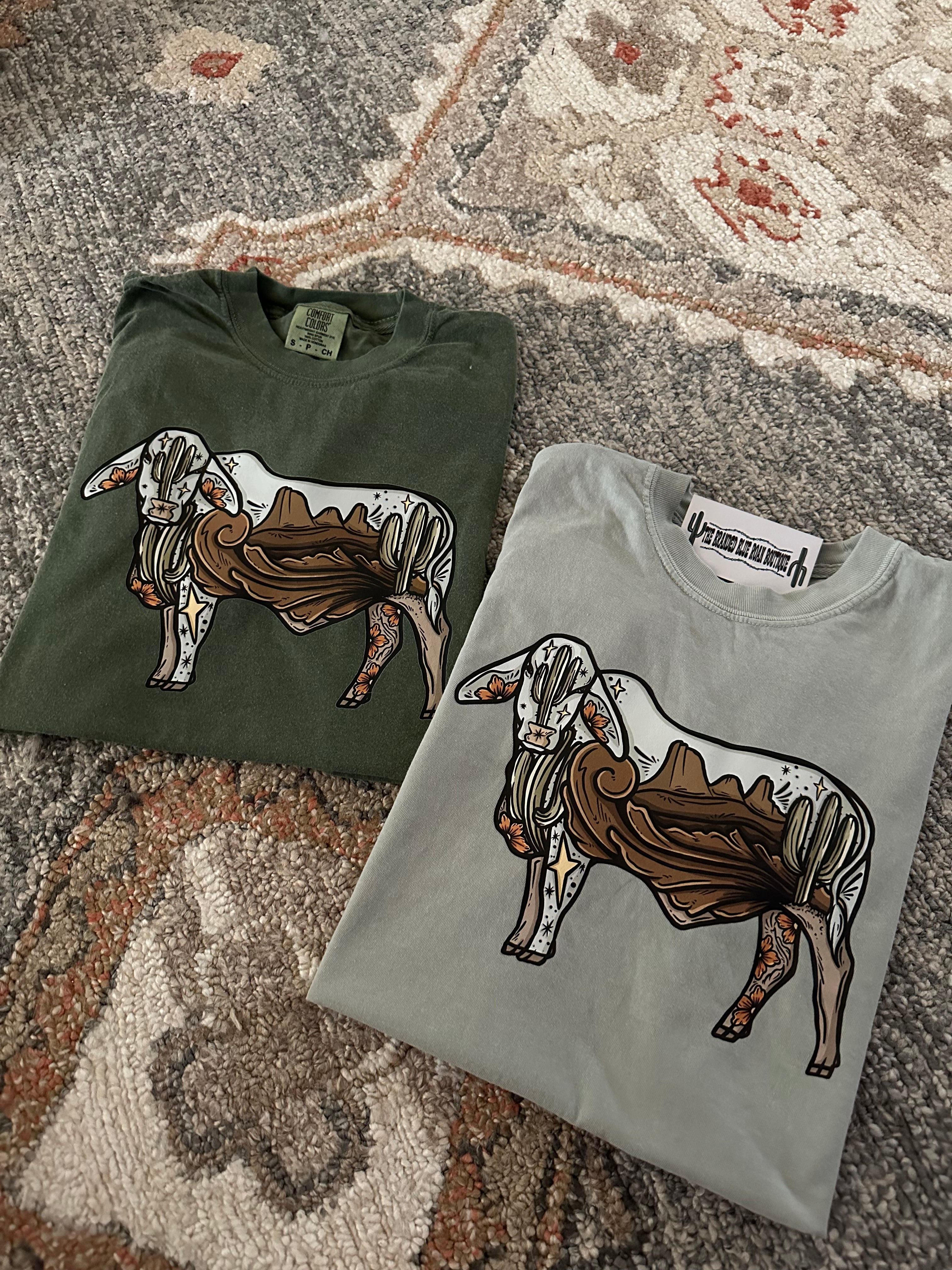 Desert Brahman Cow - RTS
