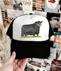 Vintage Angus Bull - Trucker Hat